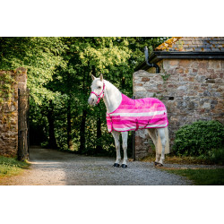 Halfter und Führstrick Horseware Newmarket Rose Witney Rosa