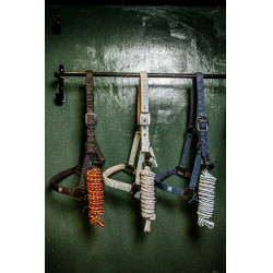 Halfter und Führstrick Horseware Newmarket Weißgold