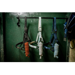 Halfter und Führstrick Horseware Newmarket Weißgold