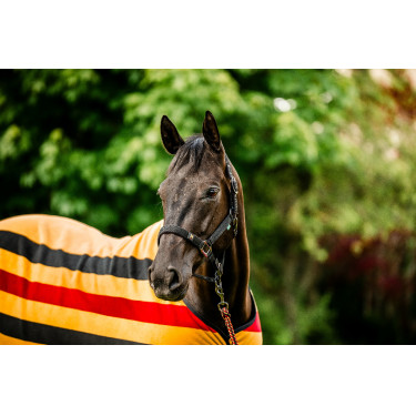 Halfter und Führstrick Horseware Newmarket Halfter und Führstrick Horseware Newmarket