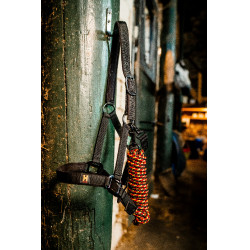 Halfter und Führstrick Horseware Newmarket Weißgold