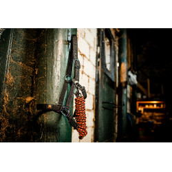 Halfter und Führstrick Horseware Newmarket Weißgold