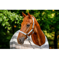 Halfter und Führstrick Horseware Newmarket Holzkohle Witney Grau
