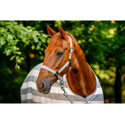 Halfter und Führstrick Horseware Newmarket Holzkohle Witney Grau