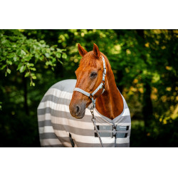 Halfter und Führstrick Horseware Newmarket Holzkohle Witney Grau