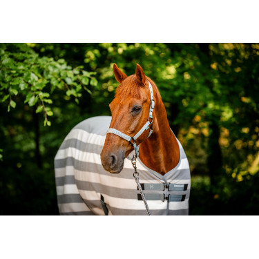 Halfter und Führstrick Horseware Newmarket Holzkohle Witney Grau
