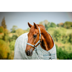 Halfter und Führstrick Horseware Newmarket Holzkohle Witney Grau