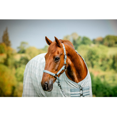 Halfter und Führstrick Horseware Newmarket Holzkohle Witney Grau