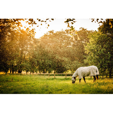 Fliegenmasken Horseware Newmarket Holzkohle Witney Grau Fliegenmasken Horseware Newmarket Holzkohle Witney Grau