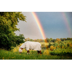 Fliegenmasken Horseware Newmarket Holzkohle Witney Grau Fliegenmasken Horseware Newmarket Holzkohle Witney Grau