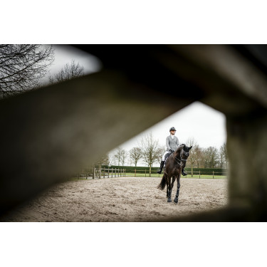 Horseware AA Aria Reithose mit mittelhohem Bund, Vollbesatz Horseware AA Aria Reithose mit mittelhohem Bund, Vollbesatz
