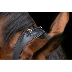 Anatomisches Zaumzeug Covalliero Schwarz