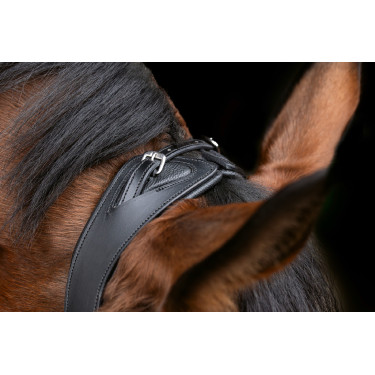 Anatomisches Zaumzeug Covalliero Schwarz