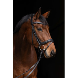 Anatomisches Zaumzeug Covalliero Schwarz