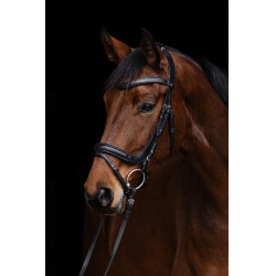 Anatomisches Zaumzeug Covalliero Schwarz