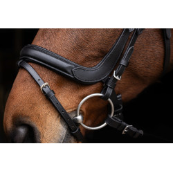 Anatomisches Zaumzeug Covalliero Schwarz