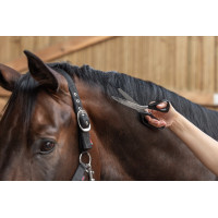 Covalliero Mähnenschere Schwarz Covalliero Mähnenschere Schwarz