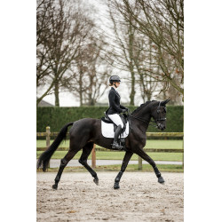 Turnierjacke Horseware AA Platinium Motion Flex Pro Schwarz Turnierjacke Horseware AA Platinium Motion Flex Pro Schwarz