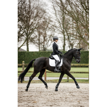 Turnierjacke Horseware AA Platinium Motion Flex Pro Turnierjacke Horseware AA Platinium Motion Flex Pro