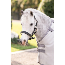 Fliegendecke Horseware Amigo Bug Rug Pony Silber / Titan-Grau / Silber Fliegendecke Horseware Amigo Bug Rug Pony Silber / Titan-Grau / Silber