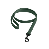 Lass Kentucky für Hund Eidechse Olivgrün Grün Lass Kentucky für Hund Eidechse Olivgrün Grün