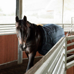 Wanderdeckengurt von Kentucky aus Nylon Schwarz