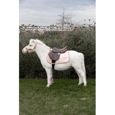 Kentucky Glitzer-Einhorn-Satteldecke Blassrosa