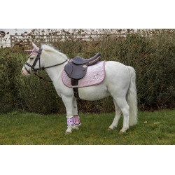 Kentucky Satteldecke Glitzerndes Einhorn Blassrosa