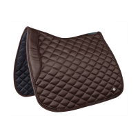 Satteldecke Waldhausen Nepal Braun