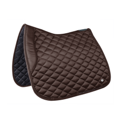 Satteldecke Waldhausen Nepal Braun