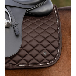 Satteldecke Waldhausen Nepal Braun