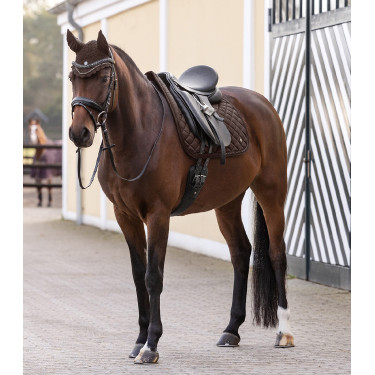 Satteldecke Waldhausen Nepal Braun