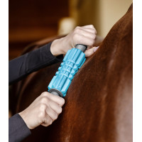 Massage-Rollen Waldhausen Health + Care Blau