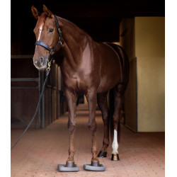 Waldhausen Health + Care Balance Einlegesohlen Grau