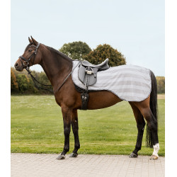 Fliegendecke für die Hinterhand Waldhausen Economic Silbergrau