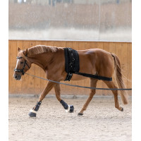 Waldhausen Körperbandage Hinterhand Schwarz Waldhausen Körperbandage Hinterhand Schwarz