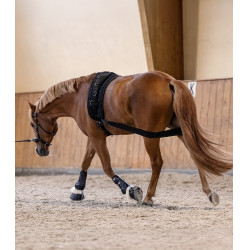 Waldhausen Körperbandage Hinterhand Schwarz Waldhausen Körperbandage Hinterhand Schwarz