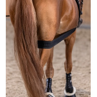 Waldhausen Körperbandage Hinterhand Schwarz Waldhausen Körperbandage Hinterhand Schwarz