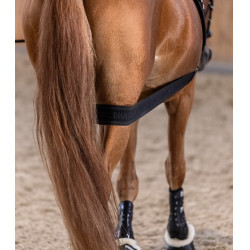 Waldhausen Körperbandage Hinterhand Schwarz Waldhausen Körperbandage Hinterhand Schwarz