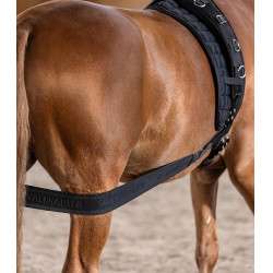 Waldhausen Körperbandage Hinterhand Schwarz Waldhausen Körperbandage Hinterhand Schwarz