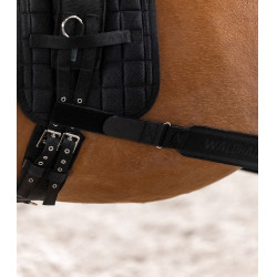 Waldhausen Körperbandage Hinterhand Schwarz Waldhausen Körperbandage Hinterhand Schwarz