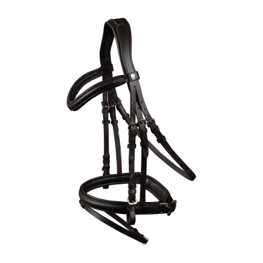 Waldhausen X-Line Trense Stockholm mit kombiniertem Reithalfter Pull Back Waldhausen X-Line Trense Stockholm mit kombiniertem Reithalfter Pull Back