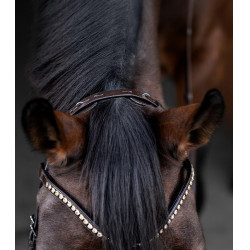 Trense Waldhausen X-Line Relaxation anatomisches Reithalfter Braun