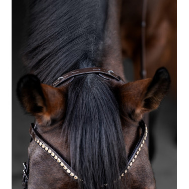 Trense Waldhausen X-Line Relaxation anatomisches Reithalfter Braun