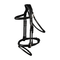 Waldhausen X-Line Trensenzaum mit kombiniertem Reithalfter Schwarz