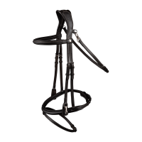 Waldhausen X-Line Trensenzaum mit kombiniertem Reithalfter Braun