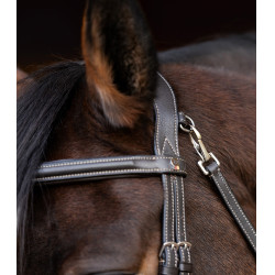 Waldhausen X-Line Trensenzaum mit kombiniertem Reithalfter Braun