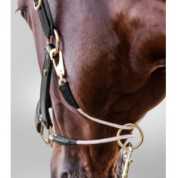 Lederhalfter Waldhausen S-Line Royal Schwarz Lederhalfter Waldhausen S-Line Royal Schwarz