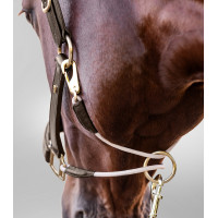 Lederhalfter Waldhausen S-Line Royal Braun