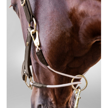 Lederhalfter Waldhausen S-Line Royal Braun